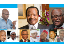 Cameroun : Voici la liste provisoire des 15 candidatures à la présidentielle 2018 déposées à Elecam