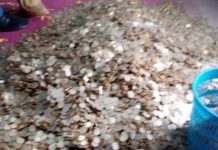 Cameroun : Le Lieutenant-colonel Voundi Essame traque les auteurs de la pénurie des pièces de monnaie