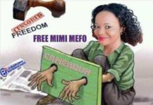 Déclaration de Reporters Sans Frontières sur l’arrestation de Mimi Mefo