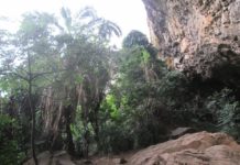 Pouvoir, affaire métaphysique : Les confidences d’un sorcier sur le cas de l’aéroport de Nsimalen Grottes-Demvoh-chefferie-Fongo-Tongo-©RDC