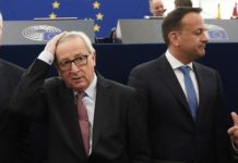 Cameroun » Troubles à l’ordre public : L’Union Européenne lâche Maurice Kamto