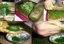 Astuces et Santé : Toutes les vertus étonnantes des feuilles de papayer mal connues