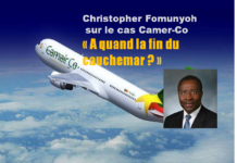 Cameroun : Regard de Christopher Fomunyoh sur les paradoxes de Camer-Co