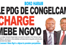 Boko Haram : Le sénateur Sylvestre Ngouchinghe charge Mebe Ngo’o