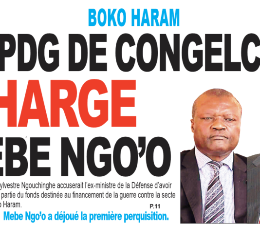 Boko Haram : Le sénateur Sylvestre Ngouchinghe charge Mebe Ngo’o