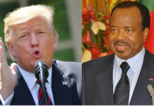Cameroun – Usa : Autopsie d’une ingérence américaine