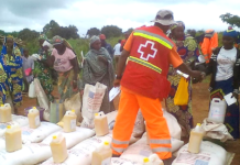 Croix-Rouge et Croissant Rouge : Le Mouvement Cameroun magnifie les volontaires