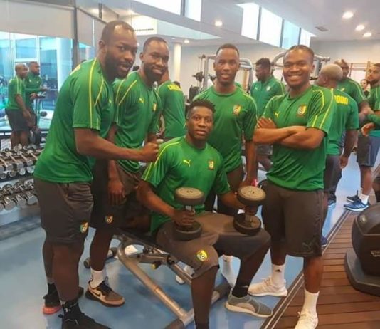 Can Egypte 2019: Lettre ouverte de l’écrivain Calvin Djouari aux Lions Indomptables