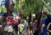 Ce que propose le journaliste Bell Tam à Paul Biya pour que les séparatistes déposent les armes