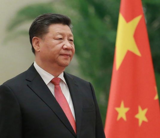 Cameroun – Chine : Les vérités de Pékin sur les terres agricoles acquises par les entreprises chinoises