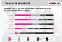 Enquête : 40 % des membres de la diaspora sont prêts à retourner travailler en Afrique