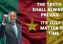 Cybercriminalité : Des pro-Kamto piratent la page officielle Facebook d’Elecam,