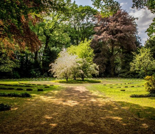 Services d’assurance : Western Union s’associe à Axa