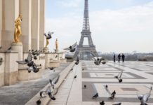 Budget France : un rebontissement économique spontané