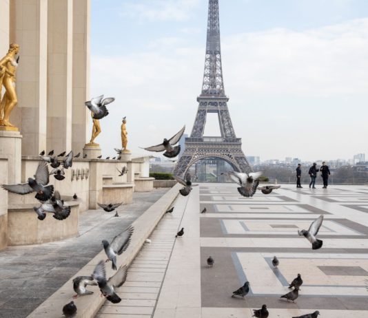 Budget France : un rebontissement économique spontané