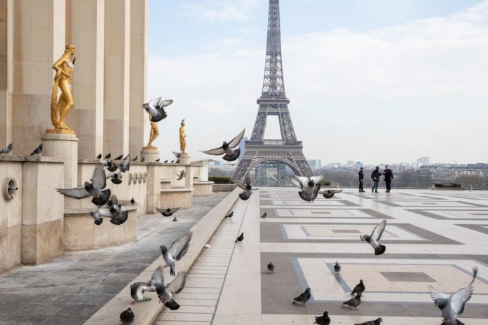 Budget France : un rebontissement économique spontané
