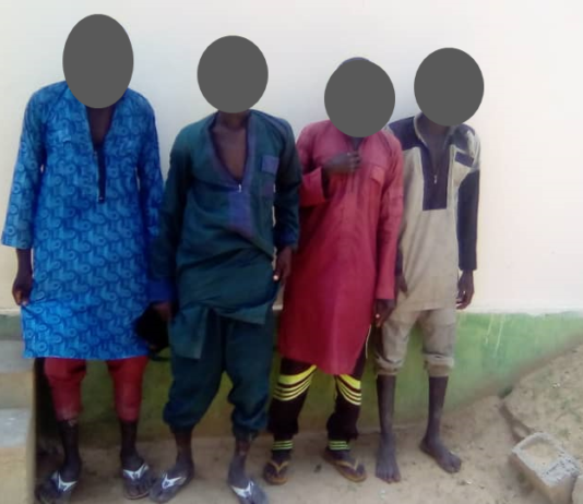 Désarmement et réintégration au Cameroun : 04 ex-combattants de Boko Haram « jettent » les armes