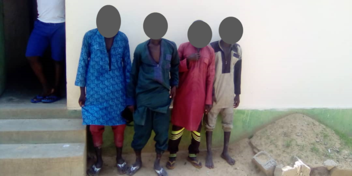 Désarmement et réintégration au Cameroun : 04 ex-combattants de Boko Haram « jettent » les armes