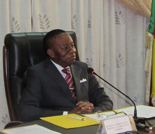 Diversion Rdpc – Mrc : Jacques Fame Ndongo corrige Maurice Kamto