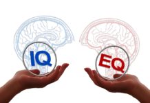 Quotient intellectuel, Quotient émotionnel, Quotient social et Quotient d’Adversité … quelle différence ?