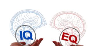 Quotient intellectuel, Quotient émotionnel, Quotient social et Quotient d’Adversité … quelle différence ?