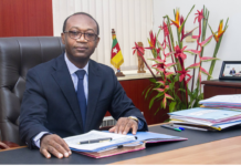 Cameroun : Gouvernement Dion Ngute et l’effet Achille Bassilekin III