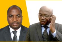 Coup de gueule : Fridolin NKE met Eric Mathias Owona Nguini en mission auprès de Paul Biya