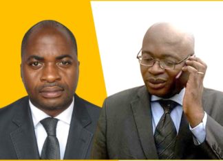 Coup de gueule : Fridolin NKE met Eric Mathias Owona Nguini en mission auprès de Paul Biya