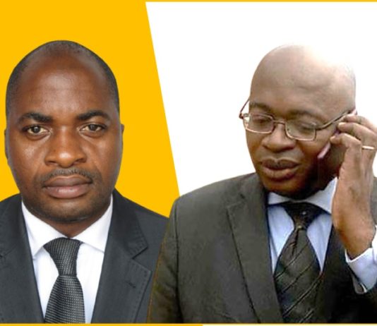 Coup de gueule : Fridolin NKE met Eric Mathias Owona Nguini en mission auprès de Paul Biya