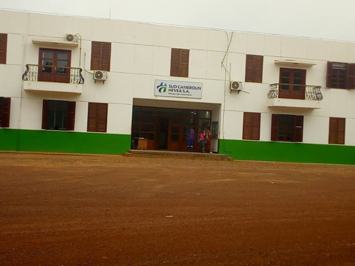 Cameroun : Comment la propagande des ONG internationales menace la survie des agro-industries »