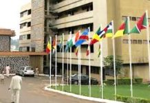 Cameroun : Le pays accorde son onction aux statuts révisés du Cradat