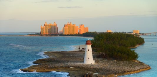 Des vacances aux Bahamas sur une île aux chats
