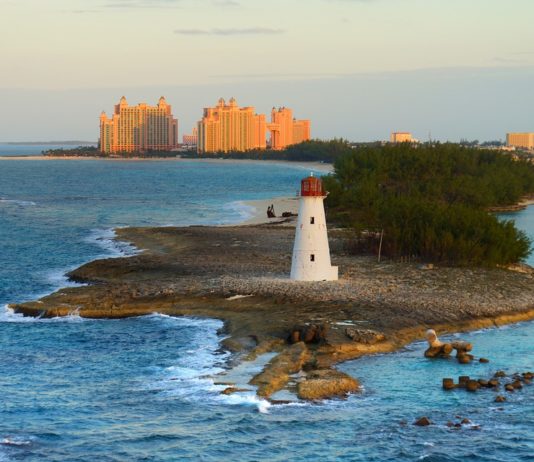 Des vacances aux Bahamas sur une île aux chats