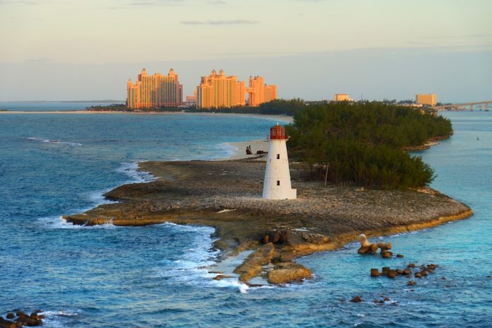 Des vacances aux Bahamas sur une île aux chats