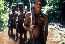 Cameroun : Une députée dénonce la marginalisation des pygmées lors des recrutements militaires