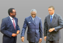 Cameroun – Sérail : Emmanuel Franck Biya refuse une offre de Talba Malla