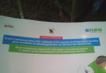 Cameroun : Eneo Cameroon lève 100 milliards FCFA auprès de 08 banques locales pour améliorer son offre en électricité