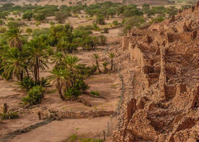 Adaptation climatique en Afrique : La Bad se fixe un objectif : Mobiliser 25 milliards de dollars d’ici à 2025