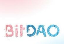 BitDAO réunit 230 M $ pour lancer l’un des plus grands DAO au monde