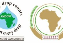 L’Afrique a une ambassadrice chargée des questions d’assainissement et d’hygiène