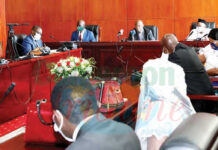 Décentralisation : La promotion de l’entrepreneuriat privé devient un impératif catégorique au Cameroun