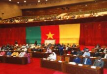 Après un long week-end, les sénateurs camerounais de retour à l’hémicycle