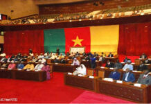 Cameroun : Ce qu’il faut savoir sur les trois projets de Loi présentés aux Sénateurs