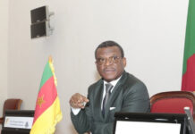 Cameroun : L’arrondissement d’Akwaya réclame la nomination de ses fils à des postes de responsabilité