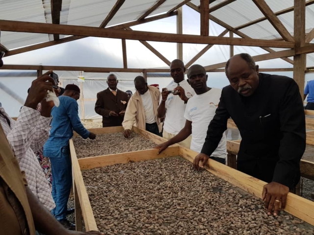 Filière cacao-café au Cameroun : Un nouvel outil de subvention pour booster la production nationale