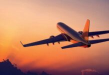 Pression populaire : Le couple Henry Paulin et Raoul Bengono quitte le Cameroun sur la pointe des pieds