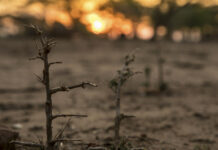 L’ONU lance la course contre la crise climatique