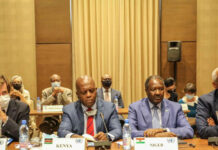 Mali : au terme de ses rencontres à Bamako, le Conseil de sécurité se dit encouragé par les progrès et attend la fin de la transition