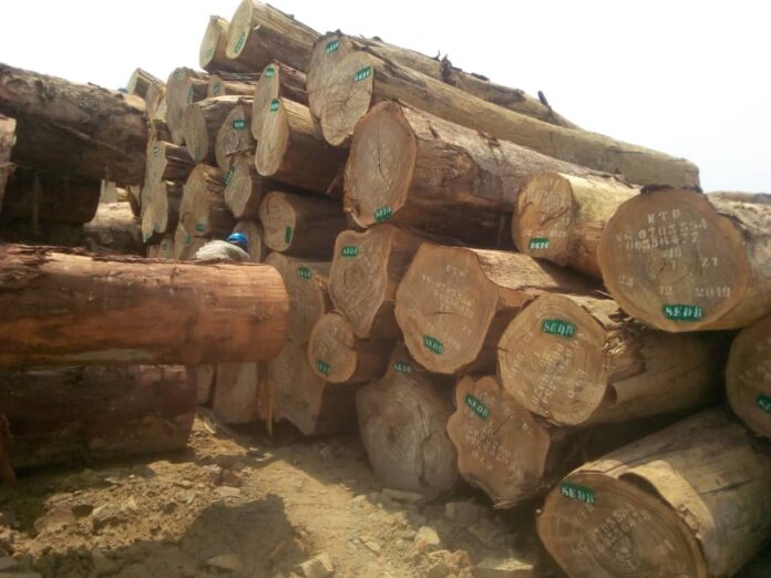 Promotion de l’usage du bois légal au Cameroun : Le gouvernement et l’Union Européenne sur le terrain