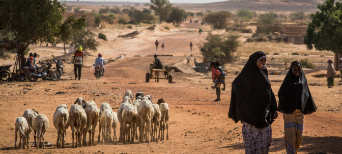 Choléra : l’épidémie fait plus de 3.300 morts au Nigéria et 156 décès au Niger